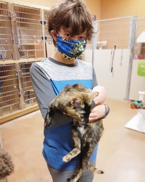 Image post by @spokhumanesoc on Instagram