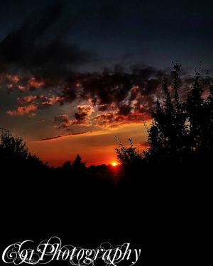 Image post by @c91photography on Instagram