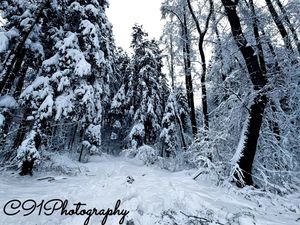 Image post by @c91photography on Instagram