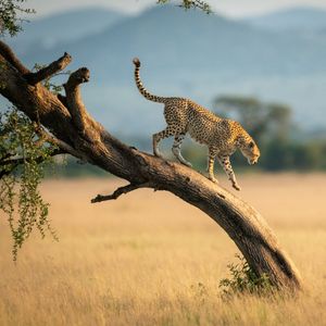 Image post by @discovery on Instagram