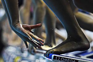 Image post by @arenausa on Instagram