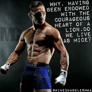 Image post by @mikechandlermma on Instagram