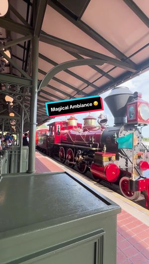 Video post by @disneyparks on TikTok