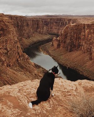 Image post by @zofeeagenota on Instagram