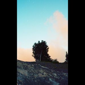 Image post by @lostfoxcreative on Instagram