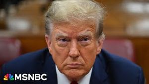 Video post by @msnbc on YouTube