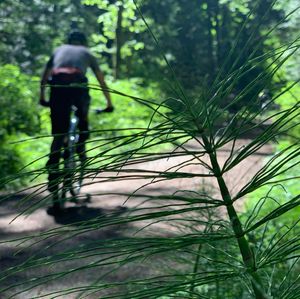 Image post by @bikerumor on Instagram