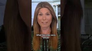 Video post by @msnbc on YouTube