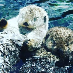 Image post by @theparcelyardpub on Instagram
