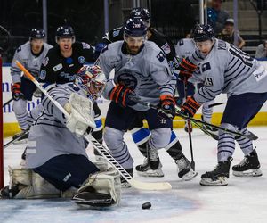 Image post by @swamprabbits on Instagram