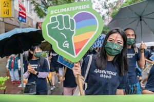 Image post by @greenpeace on Instagram