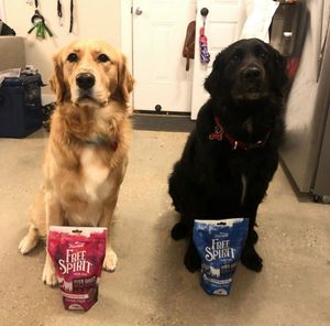 Image post by @triumphpetfood on Instagram