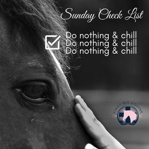 Image post by @first_bit_equine_ on Instagram