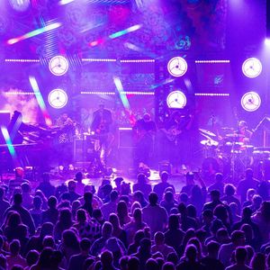 Image post by @lettucefunk on Instagram