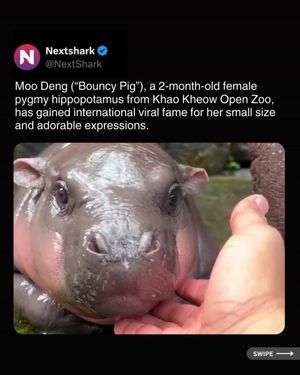 Image post by @nextshark on Instagram