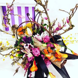 Image post by @shopbachmans on Instagram