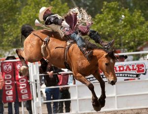Image post by @cloverdalerodeo on Instagram