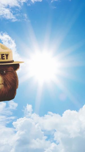 Video post by @smokey_bear on Twitter/X