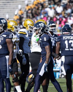 Image post by @gojsutigersfb on Instagram