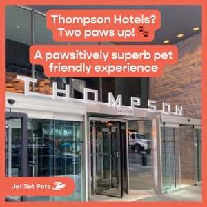 Image post by @jetsetpets on Instagram