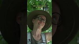 Video post by @60secdocs on YouTube