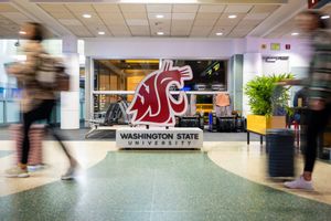 Image post by @wsupullman on Instagram