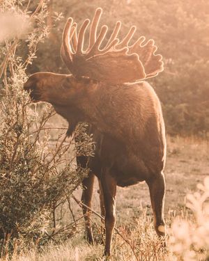 Image post by @trevorfrench on Instagram