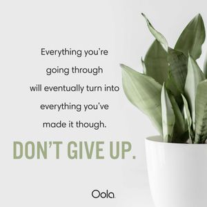 Image post by @oolalife on Instagram