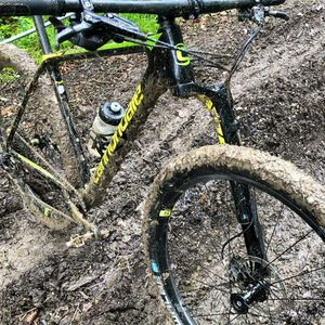 Image post by @bikerumor on Instagram