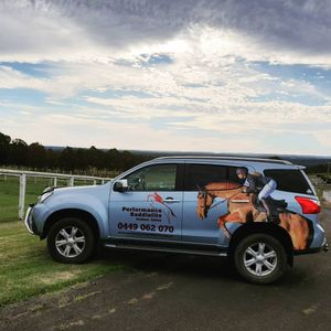 Image post by @performancesaddlefitssthsydney on Instagram