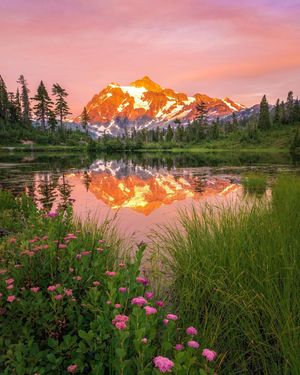 Image post by @nationalparkscollective on Instagram