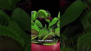 Video post by @whatifscienceshow on YouTube