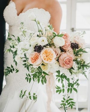 Image post by @thebloombartx on Instagram