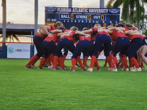 Image post by @fausoftball on Instagram