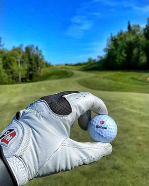 Image post by @wilsongolfcanada on Instagram