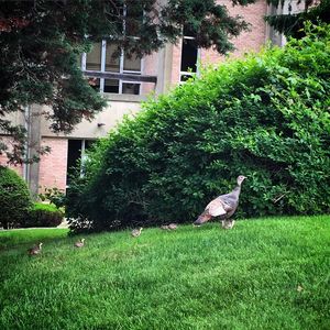 Image post by @fairfieldu on Instagram