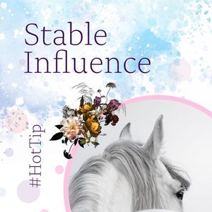 Image post by @thestableinfluencenz on Facebook
