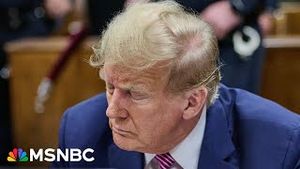 Video post by @msnbc on YouTube