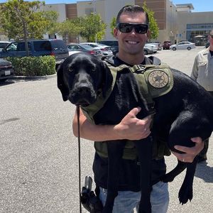 Image post by @vcsheriff on Instagram