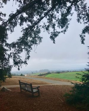 Image post by @ucsc on Instagram