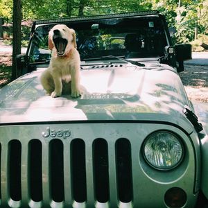 Image post by @jeep on Instagram