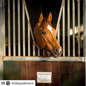 Image post by @australianturfclub on Instagram