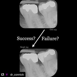 Image post by @ripeglobal on Instagram