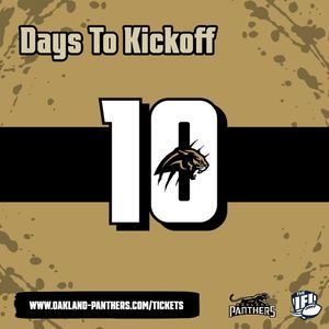 Image post by @panthersifl on Instagram