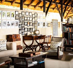 Image post by @chiawasafaris on Instagram