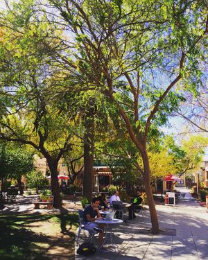 Image post by @dailywildcat on Instagram