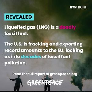 Image post by @greenpeace on Instagram