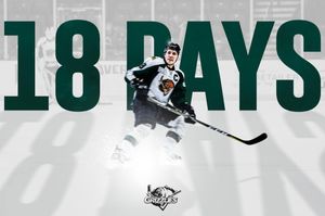 Image post by @utahgrizzlies on Instagram