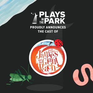 Image post by @playsintheparkedisonnj on Instagram