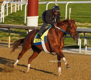 Image post by @fanduel_racing on Instagram